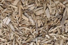 biomass boilers Whaplode